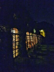 IMG_0473