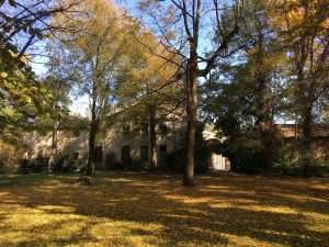 IMG_3762 (1)