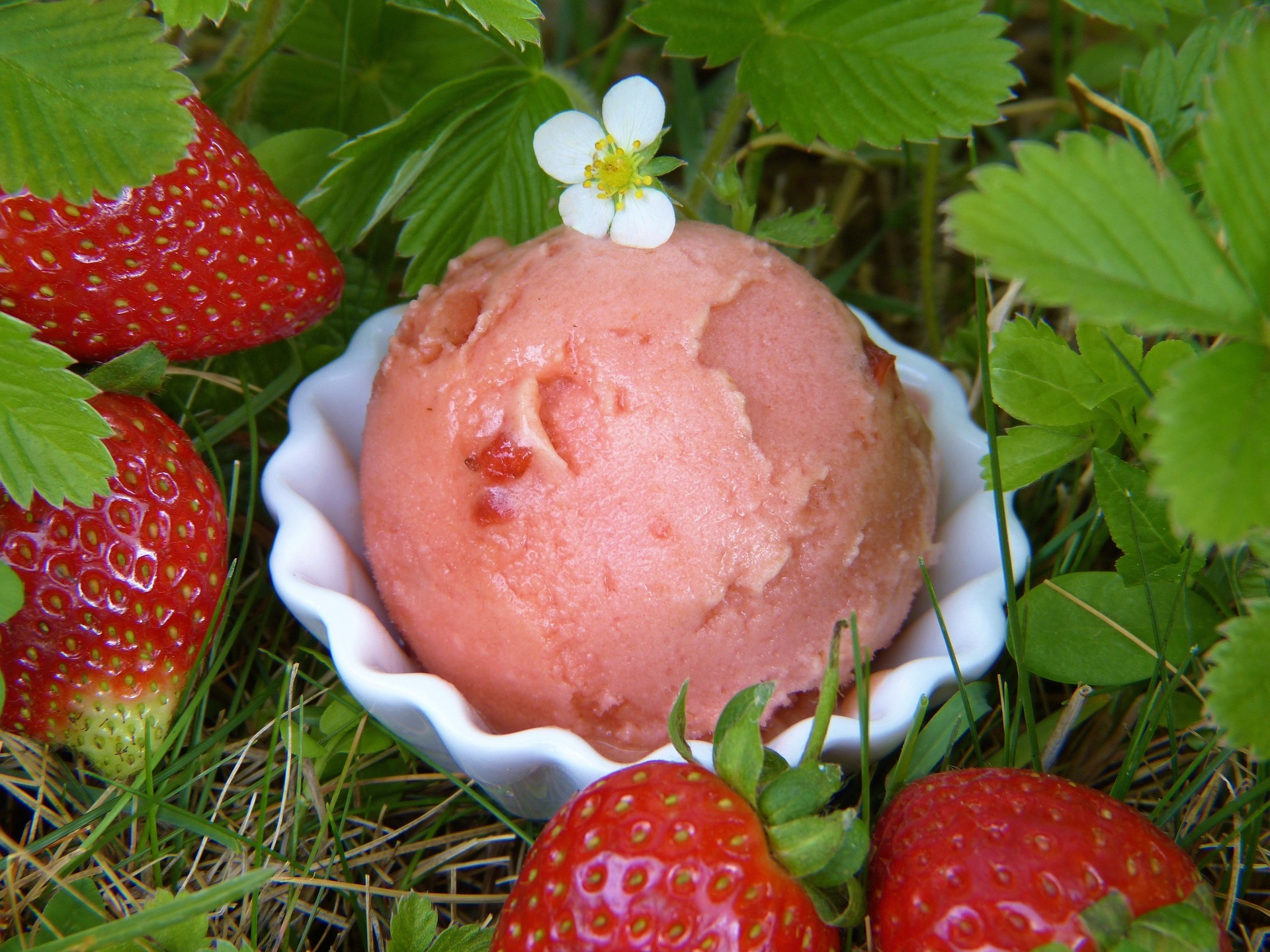 strawberry-ice-cream-2239407_1920