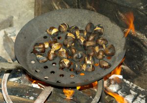 chestnuts-985161_1920