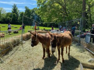 IMG_9441