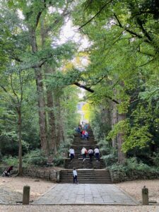 IMG_3736 2