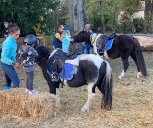 cavalli pony 26 marzo