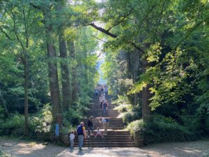 IMG_1690 (1)