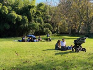 IMG_3535 (1) (2)