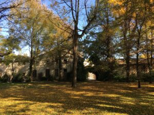 IMG_3764 (1)