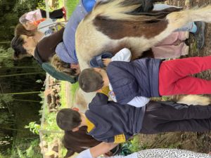 IMG_0722