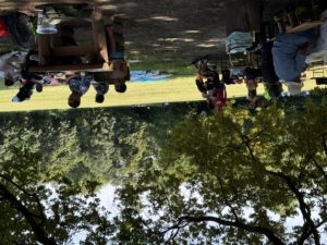 IMG_3600